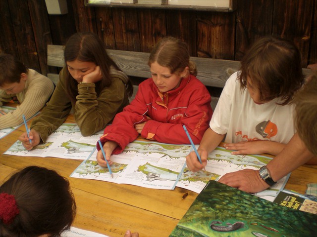 Projekt - Grundschule Seeshaupt/ SAK - im Juli 2008