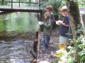 Projekt - Grundschule Seeshaupt/ SAK - im Juli 2008