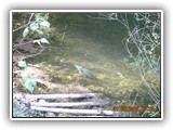 Grundwassersee 