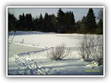 Grundwassersee 